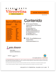 Highlights-of-Vitreoretina-Vol.-1533